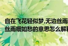 自在飞花轻似梦,无边丝雨细如愁含义（自在飞花轻似梦无边丝雨细如愁的意思怎么解释）