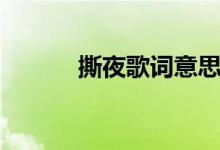 撕夜歌词意思（撕夜歌词全文）