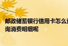 邮政储蓄银行信用卡怎么查询明细 邮政银行的信用卡如何查询消费明细呢