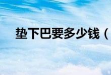 垫下巴要多少钱（非常漂亮的不要不要）