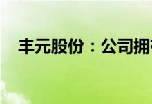 丰元股份：公司拥有磷酸锰铁锂技术储备
