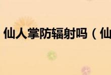 仙人掌防辐射吗（仙人掌是不是防辐射植物）