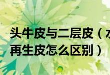 头牛皮与二层皮（水牛皮的头层皮\二层皮\再生皮怎么区别）