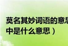 莫名其妙词语的意思是什么（莫名其妙在词典中是什么意思）