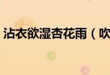 沾衣欲湿杏花雨（吹面不寒杨柳风什么意思）