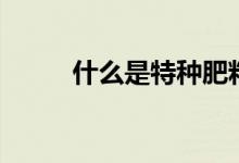 什么是特种肥料（什么是特种纸）