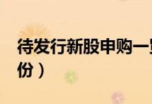 待发行新股申购一览表（新股申购一览表3月份）