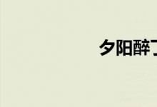 夕阳醉了（张学友）