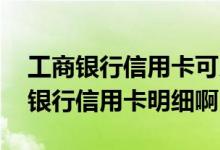 工商银行信用卡可以查询明细吗 怎么查工商银行信用卡明细啊