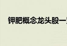 钾肥概念龙头股一览钾肥概念股全部名单