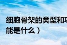 细胞骨架的类型和功能（细胞骨架的类型和功能是什么）