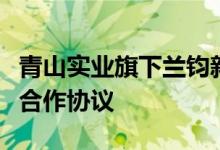 青山实业旗下兰钧新能源与科陆储能签订战略合作协议