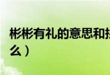 彬彬有礼的意思和拼音（彬彬有礼的意思是什么）