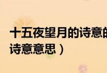 十五夜望月的诗意的作者简介（十五夜望月的诗意意思）