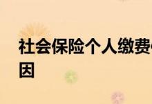 社会保险个人缴费信息方法 查不到是什么原因 