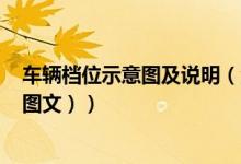车辆档位示意图及说明（汽车档位示意图及操作方法图解（图文））