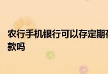 农行手机银行可以存定期存款吗 农行手机银行可以存定期存款吗