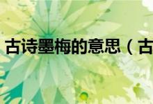 古诗墨梅的意思（古诗《墨梅》的意思精选）