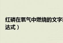 红磷在氧气中燃烧的文字表达（红磷在氧气中燃烧的文字表达式）