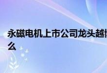 永磁电机上市公司龙头越博动力 永磁电机上市公司龙头是什么 