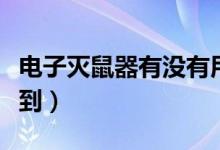 电子灭鼠器有没有用（电子灭鼠器去哪里买得到）