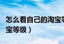 怎么看自己的淘宝等级多少（怎么看自己的淘宝等级）