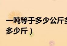 一吨等于多少公斤多少斤（一吨等于多少公斤多少斤）