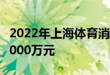 2022年上海体育消费券启动配送安排资金约2000万元