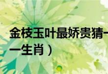 金枝玉叶最娇贵猜一生肖（金枝玉叶最娇贵猜一生肖）