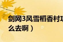 剑网3风雪稻香村攻略（剑网3风雨稻香村怎么去啊）
