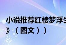 小说推荐红楼梦浮生六记（小说推荐：《红岩》（图文））