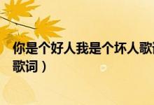 你是个好人我是个坏人歌词（我是好人也是个坏人是哪首歌歌词）