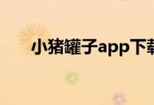 小猪罐子app下载（小猪罐子靠谱吗）