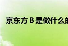 京东方Ｂ是做什么的（其主营业务是什么）