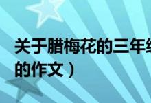 关于腊梅花的三年级300字作文（关于腊梅花的作文）