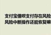支付宝借呗支付存在风险终止操作怎么办? 支付宝借呗存在风险中断操作还能恢复嘛