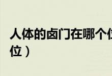 人体的卤门在哪个位置（卤门是人体的什么部位）