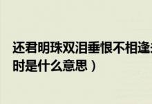 还君明珠双泪垂恨不相逢未嫁时是什么意思（恨不相逢未嫁时是什么意思）