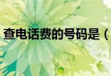 查电话费的号码是（查电话费的号码是什么）