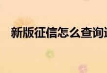 新版征信怎么查询逾期 新版征信怎么查询