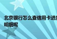 北京银行怎么查信用卡进度 如何查询北京银行信用卡的账单明细呢