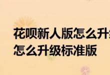 花呗新人版怎么升级标准版额度 花呗新人版怎么升级标准版