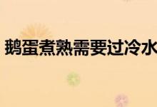 鹅蛋煮熟需要过冷水吗（鹅蛋煮熟需要多久）