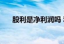 股利是净利润吗 利润股权是什么意思 