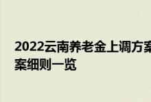 2022云南养老金上调方案细则出来了吗 云南养老金调整方案细则一览 