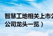 智慧工地相关上市公司有哪些（智慧工地上市公司龙头一览）