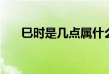 巳时是几点属什么生肖（巳时是几点）