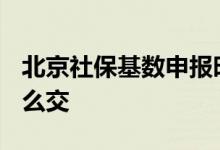 北京社保基数申报时间2022 北京社保缴费怎么交 