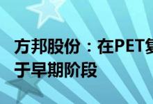 方邦股份：在PET复合铜箔领域研发布局尚处于早期阶段