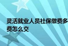 灵活就业人员社保缴费多少钱 2022年灵活就业人员社保缴费怎么交 